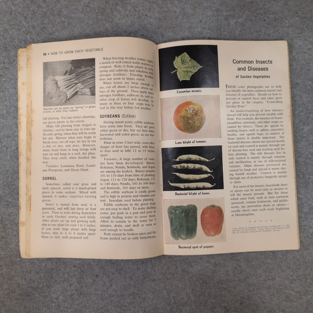 Vintage 1961 The Progressive Farmers Garden Book For The South *Scarce* - Picture 6 of 7